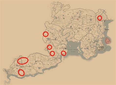 where to find cougars rdr2.